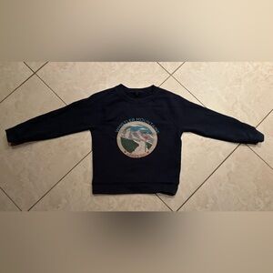 J. Crew Navy Crewneck Sweater with Graphic